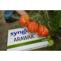 TOMATE ARAWAK F1 500SEM